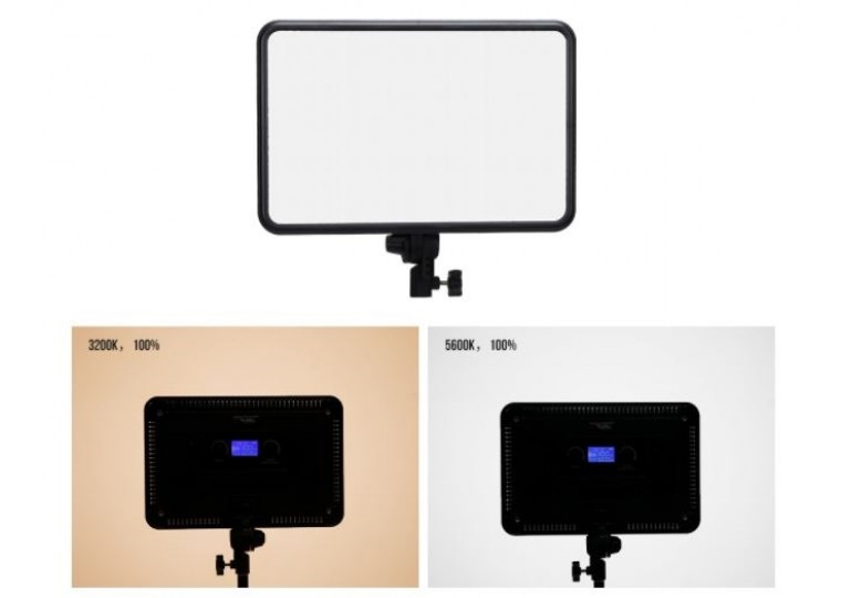 Lighting & Studio Equipment
