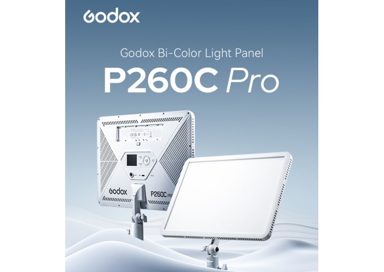 Lighting & Studio Equipment