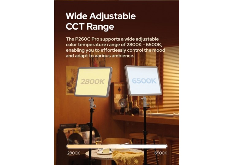 Lighting & Studio Equipment